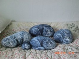 Совушки 