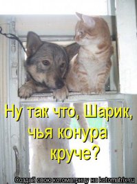 Вот такая любовь