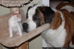 Вот такая любовь