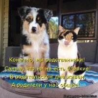 Вот такая любовь