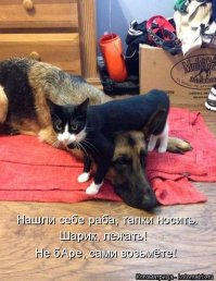 Вот такая любовь
