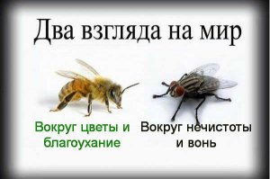 Бойцовский клуб понравился, решила ещё что-нибудь прочесть и купила Удушье (не зная, о чём книга). Боже, что за трэш!
В общем, если вы не знаете, кто такой Паланик, начните с Бойцовского клуба. Хотя я бы советовала им же и закончить - месье знает толк в извращениях.