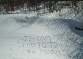 Прикольные картинки