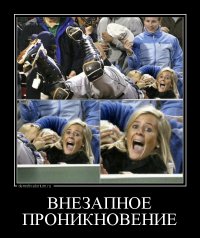 Непростая жизнь болельщиков: как не получить травму на стадионе