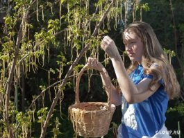 А так  растут макароны и спагетти.