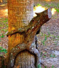 Пфф...
Мы и не такое можем навоображать!