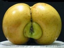 Пфф...
Мы и не такое можем навоображать!