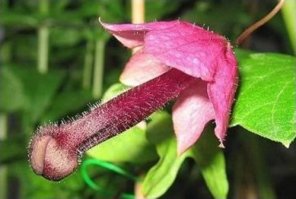 Пфф...
Мы и не такое можем навоображать!