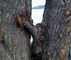 Пфф...
Мы и не такое можем навоображать!