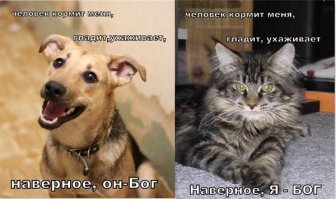 Эта идиллия -пока еды навалом и у каждого в своей миске ...и еще -