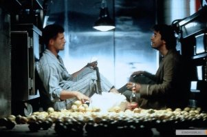 А вот, и лимочики