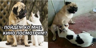 Картинки с надписями