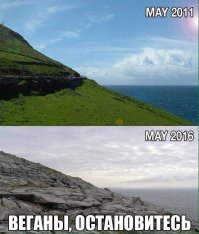 Посвящение веганам? :)