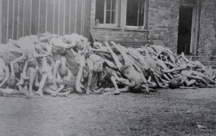 "Газ Циклон-Б, рабочая лошадка Освенцима..."
Нормальный заголовочек?