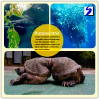 Наверно, одно другого не исключает, но вот никак не пойму, зачем лезть в космос вбухивать деньги, если на своей планете разобраться не можем, засрали уже всё под завязку. Денег хватило бы и на медицину, и чтобы переработку мусора во всех странах наладить, и океаны изучить. Человечество как гастеры, заместо улучшения жизни у себя в стране в другие лезут.