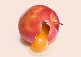 Вы не любите яиц? Вы просто не умеете их готовить