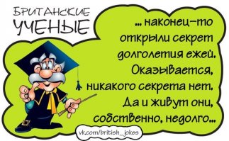 Британские ученые научили шмелей играть в футбол