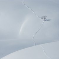 Поссал и дальше в путь)