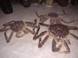 Мелочь, но зато далеко ходить не надо, на раз с пивком сойдет)