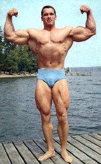 Вот этот, б**ть, кусок сала сын семикратного обладателя титула "Мистер Олимпия"??? Человека, который толпы народу одним своим выцветшим плакатом отправил в спортзалы?Это <span style='color:gray'>[мат]</span>, уважаемая редакция. 
P.S. Просто для сравнения - на фотке Арнольду 20 лет