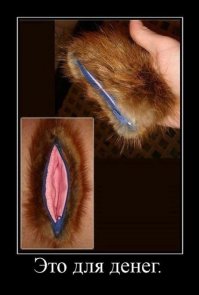 Иногда кошелёк - это просто кошелёк.