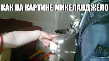 Британский священник за пять лет в точности скопировал роспись Сикстинской капеллы