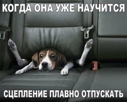 Я первая в очереди на звание автодебила