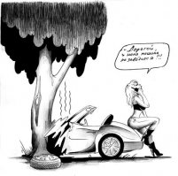 Я первая в очереди на звание автодебила