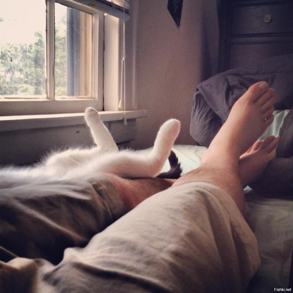 Почему кошки ложатся в ноги. Девушка с котом на кровати. Кот в постели. Парень с котом в кровати.