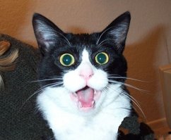 То, что таится у вас во рту, очень крупным планом