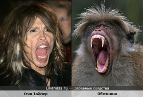 И сильно похож? Ну, например по такой шкале:
1 Как близнецы?
2 Как дети и родители?
3 Как человек и обезьяна?
4 Как женьшень и человек? :)