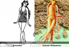 И сильно похож? Ну, например по такой шкале:
1 Как близнецы?
2 Как дети и родители?
3 Как человек и обезьяна?
4 Как женьшень и человек? :)