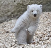 Совпадение? Не думаю!