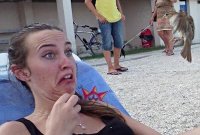 Воробей испугался больше