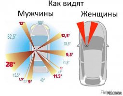 Я первая в очереди на звание автодебила