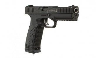 Пистолет "Стриж"