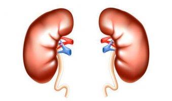 На бампера надеюсь хватит))