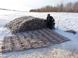 Чистя трехсотого карася, жена взмолилась: "Дорогой, пей, как все, на рыбалке водку, пожалуйста!"