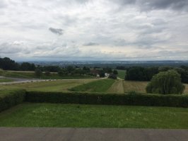 Вот такую красоту наблюдали надсмотрщики и администрация лагеря.