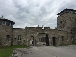 Вот такую красоту наблюдали надсмотрщики и администрация лагеря.