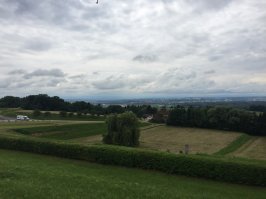 Вот такую красоту наблюдали надсмотрщики и администрация лагеря.