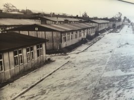 История концлагеря Маутхаузен и его лестницы