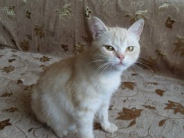 Эххх, такая ностальгия нашла по моих двоих, ныне уже покойных, Томасу и Алиске.