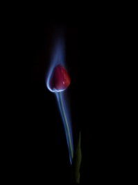 Я тоже поподжигал цветочки)))