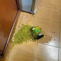 Вот кукуруза бежит вперед, за ней горошек не отстает!