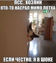 Домотиваторы на тему коты