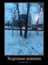 Фото демотиватор приколы