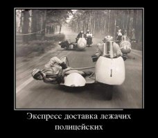 Фото демотиватор приколы