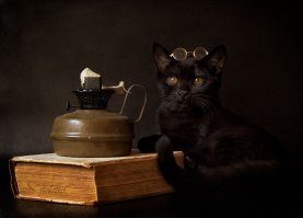 Такого котика с лампой вроде не было