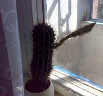 Эх  всё как с моей.